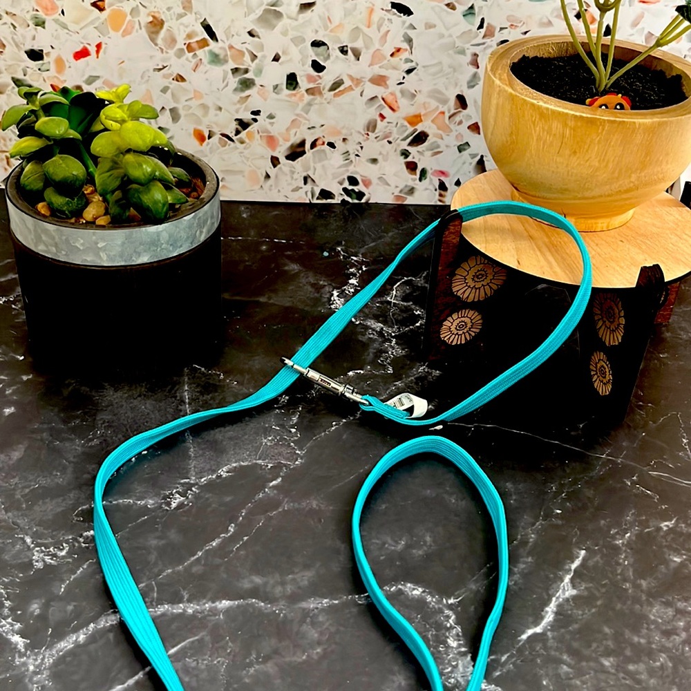 A small blue Leash